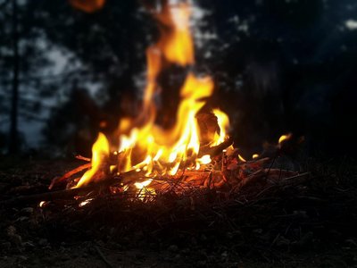 Aufhebung des Feuerverbots im Wald